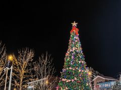 -高新活力汇Vitality