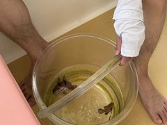 -小猫钓鱼海钓俱乐部(椰梦长廊店)