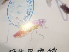 -上海大自然野生昆虫馆(东方明珠·爬宠昆虫探索中心)