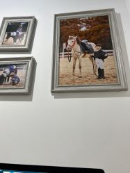 点击看大图 -苹果树儿童摄影工作室