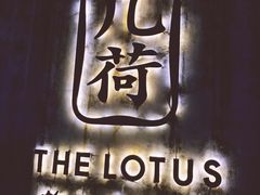 -几荷·恰似故人来(秀水广场店)