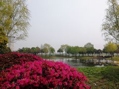 -东南大学(九龙湖校区)