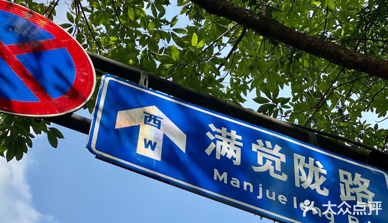 旅行随拍📷那一年秋天的杭州桂花香🍃