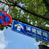 旅行随拍📷那一年秋天的杭州桂花香🍃