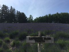-富田农场