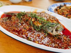 霍香豆瓣鱼-青城甲(青城山店)
