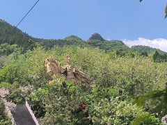 -黄花溪