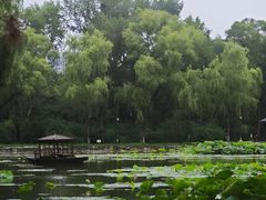 -北陵公园