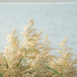 -如一·美甲美睫