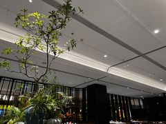 -金春禧(世茂国际广场店)