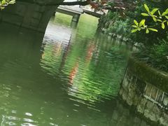 -上海醉白池公园