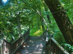 -天女山森林公园