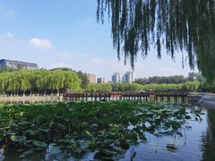 -中国农业博物馆