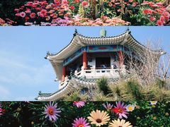 -青岛海滨风景区小青岛