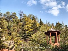 -彩色沙林风景区
