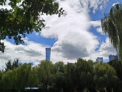 -团结湖公园