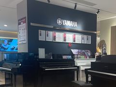-雅歌音乐培训中心·钢琴培训·乐器培训(交道口店)