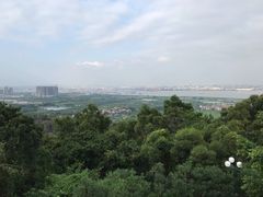 -广州莲花山旅游区