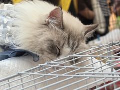 -北京华联购物中心(天通苑店)