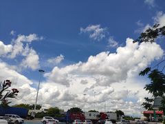 -麦当劳(电白服务区店)