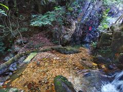 -牛鱼嘴原始生态风景区