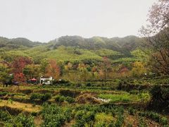 -塔川景区