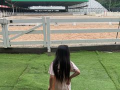 -名驭国际马术学院