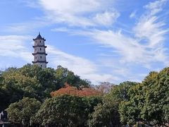 -江心屿景区