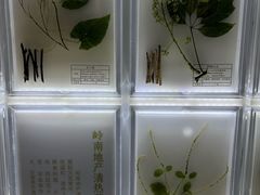 -广东中医药博物馆