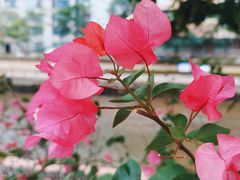 -深圳博物馆(古代艺术馆)