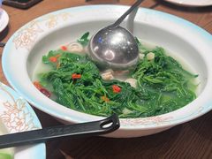 -山水茶艺馆·点心粤菜·30年老字号