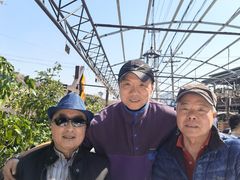 -京北渔家傲