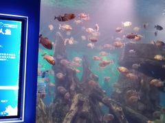 -石家庄海洋公园
