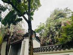 -深圳国际园林花卉博览园