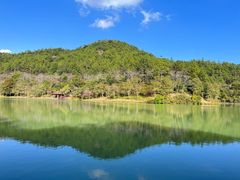-广州白江湖森林公园