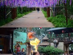 -呀路古热带植物园