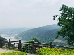 -铁山坪森林公园