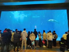 -华夏文旅海洋公园