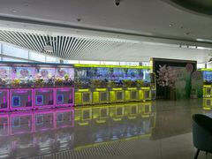 -百丽宫影城(CGS激光苏宁广场店)
