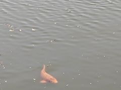 -黛秀湖公园