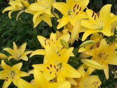 -白渔泡湿地公园