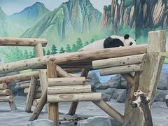 -秦皇岛野生动物园