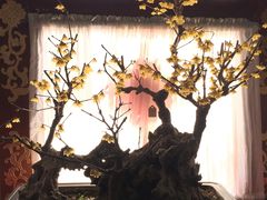 -听鹂馆饭庄(颐和园店)