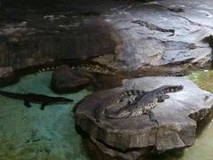 -泉城欧乐堡海洋极地世界
