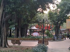 -东风公园