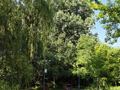 -莲花池公园