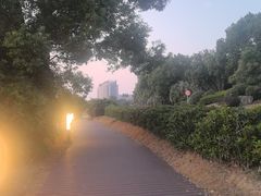 -苏州湾体育公园