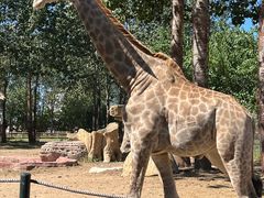 -大连森林动物园