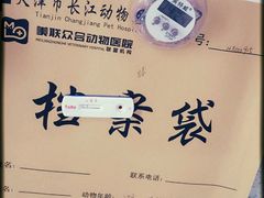 -瑞派长江宠物医院·猫科·外科·24小时夜护(谊城公寓分院)