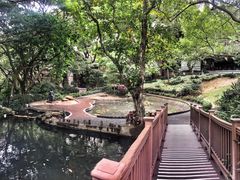 -香港大学